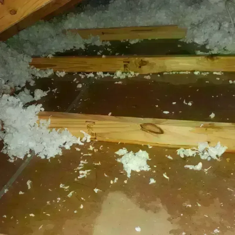 Attic Water Damage in Center Point, IA