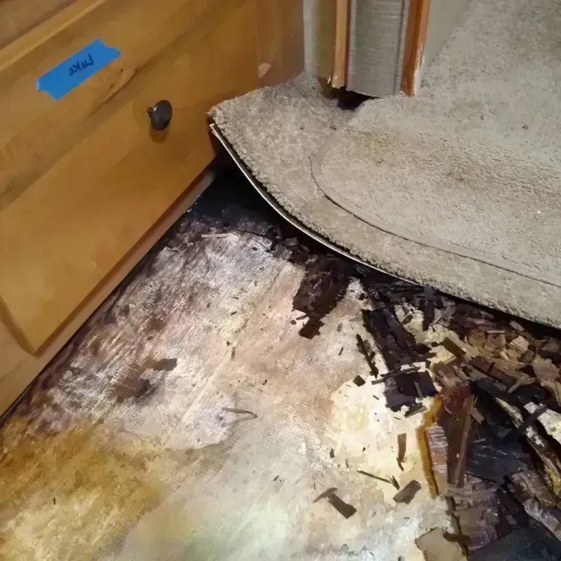 Wood Floor Water Damage in Center Point, IA